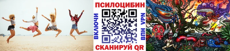 купить наркотик  Кохма  Псилоцибиновые грибы Cubensis 
