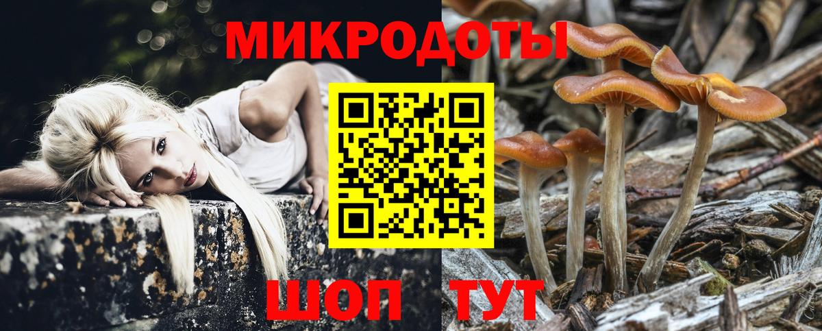 Псилоцибиновые грибы Cubensis  Вход с VPN  Кохма 